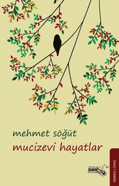 mucizevi hayatlar on kapak